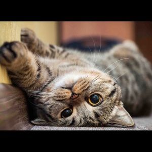 This is not real btw